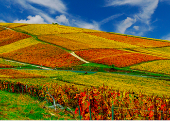 法国十大旅游胜地10 of the most beautiful places to visit in France